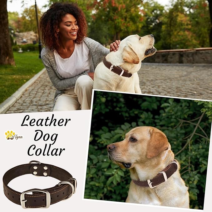 ADITYNA Heavy Duty Black Leather Dog Collar - Soft and Strong Dog Collar for Medium Dogs (Medium: Fit 13" - 20" Neck, Black)