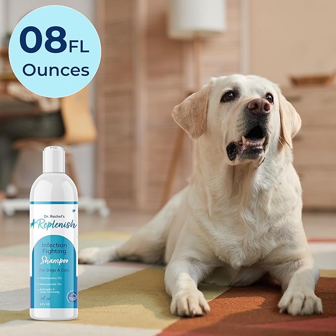 Replenish Anti Itch Dog Shampoo with Ketoconazole and Chlorhexidine for Dog Skin Irritation Treatment & Itchy Skin Relief - Dr. Rachel’s Veterinary Formula Dog Shampoo with Cucumber Melon Scent - 8 oz