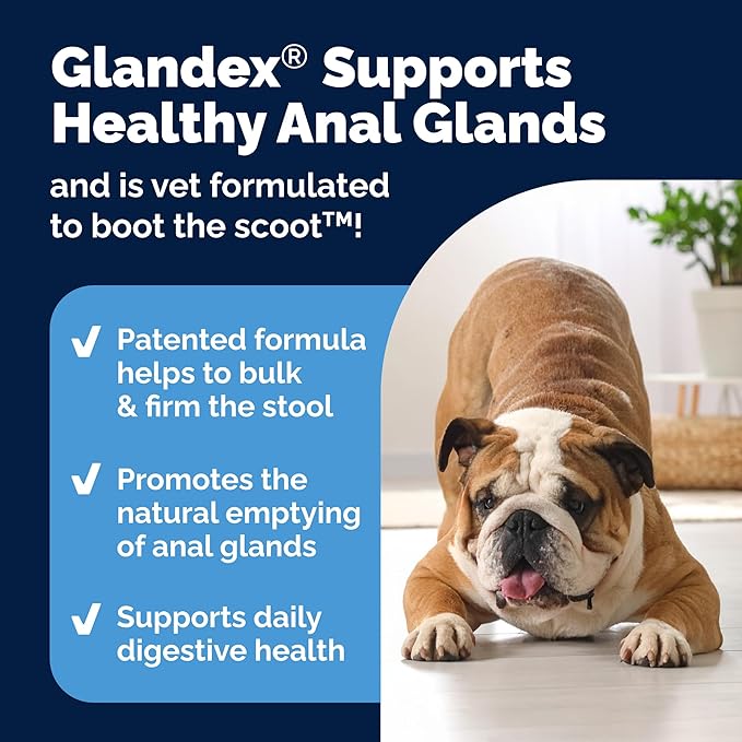 Vetnique Glandex Dog Fiber Supplement Powder Anal Gland Health with Pumpkin, Digestive Enzymes & Probiotics, Vet Recommended (Regular or Advanced Strength) - Boot The Scoot (2.5oz Powder, Beef Liver)
