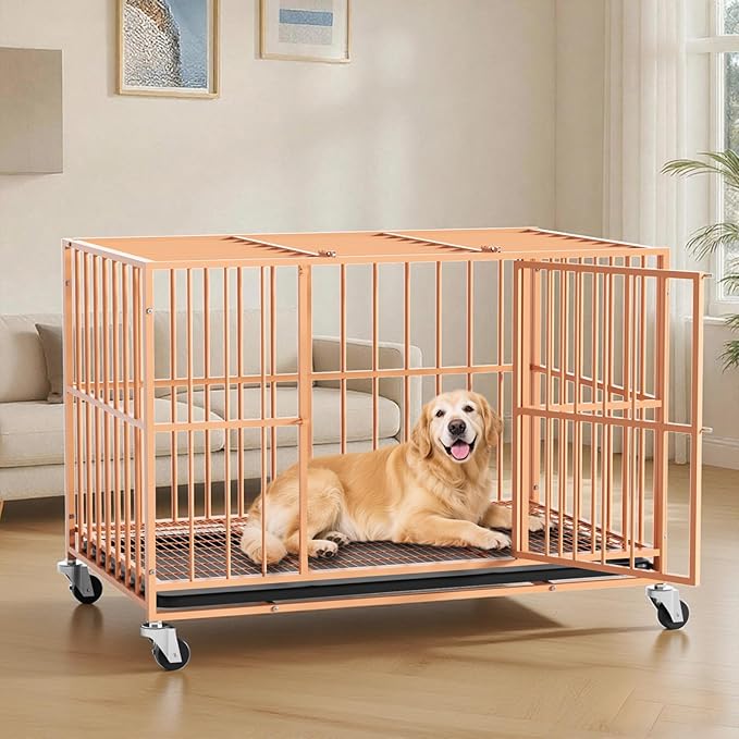 Orange 48 in Heavy Duty Dog Crate Steel Escape Proof, Indoor Double Door High Anxiety Cage, Removable Tray, Kennel with Wheels,XL XXL