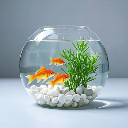 White Natural River Rocks, 1-1.5 Inch Decorative Stones for Plants, Garden, and Landscaping  40LB, Ideal for Fish Tanks, Vases, Crafting, Home Decor, and Outdoor Landscaping