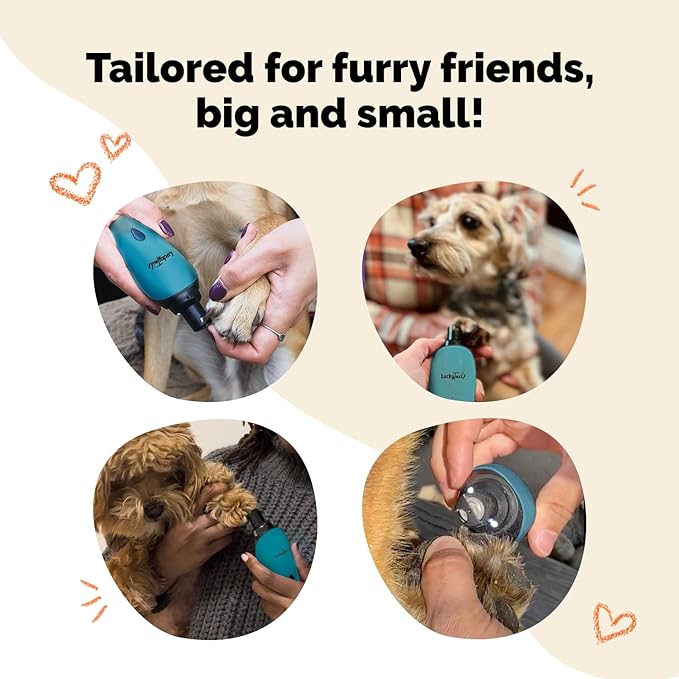 LuckyTail Pet Nail Grinder for Dogs and Cats - Super Quiet and Low Vibration Electric Dog Nail Grinder with 2 LED Lights - USB Rechargeable and Cordless - 2 Speeds - Small to Large Pets - Teal