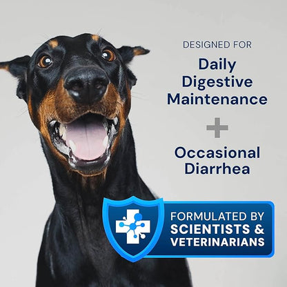 AnimalBiome Dog Probiotics - GMP Prebiotics and Probiotics - Reduce Diarrhea Flareups - for Dogs 21-40 lbs (60 Capsules) - DoggyBiome