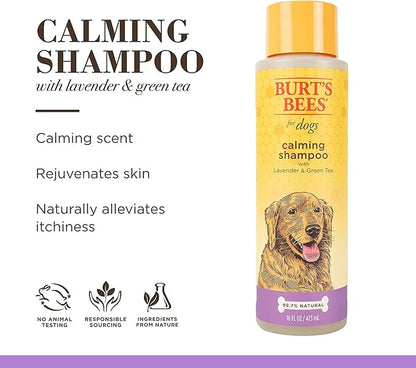 Burt's Bees for Pets Calming Dog Shampoo with Lavender and Green Tea, 6pk, 95% Natural Origin Formulas, Calming Lavender Dog Shampoo - Gentle Dog Shampoo, Best Dog Shampoo, Lavender, 6pk 16 oz