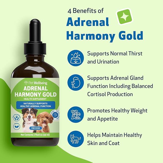 Pet Wellbeing Adrenal Harmony Gold for Dogs - Vet-Formulated - Adrenal Gland Supplement for Dogs, Ashwagandha, Astragalus, Bacopa, Holy Basil - Herbal Supplement  4 oz (118 ml)