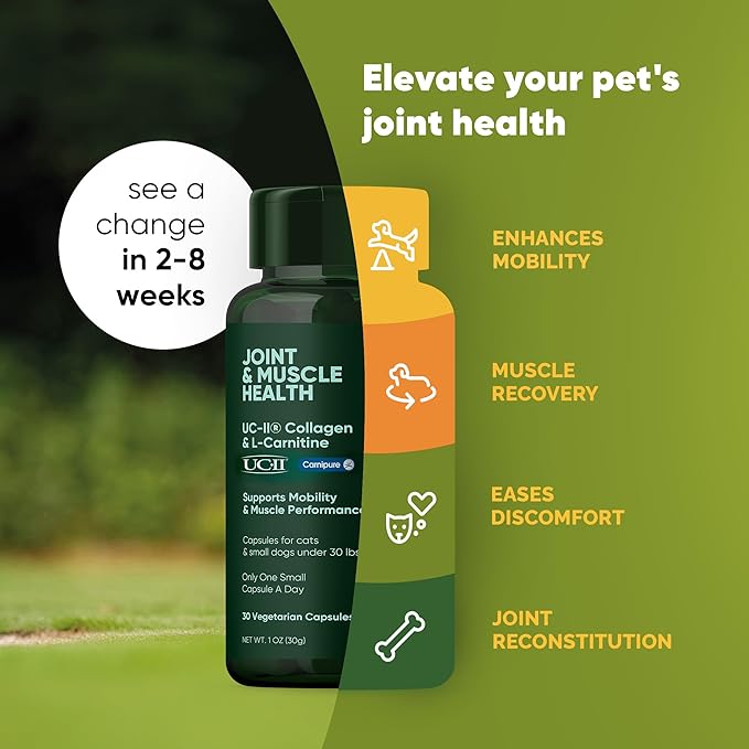 Rooted Owl Joint and Muscle Support for Cats and Small Dogs (Under 30 Lbs) - Supplement with UC-II Type II Collagen and L-Carnitine - 30 Count