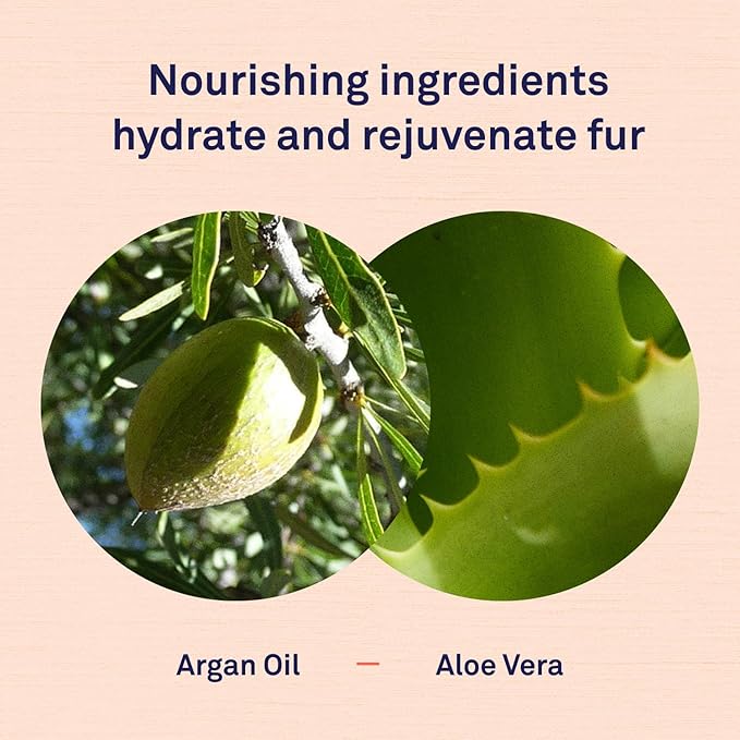 Petpost | Argan Shampoo for Dogs - Naturally Heals, Protects, & Rejuvenates Dog Dry Skin & Coat - Argan Oil and Aloe Formula 16 oz.