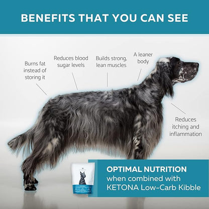Ketona Zero Carb Chicken Liver Dog Treats - High Protein (52%), No Carb (0%), 100% Freeze Dried Chicken Liver Bites, Delicious and Healthy Treat and Training Reward