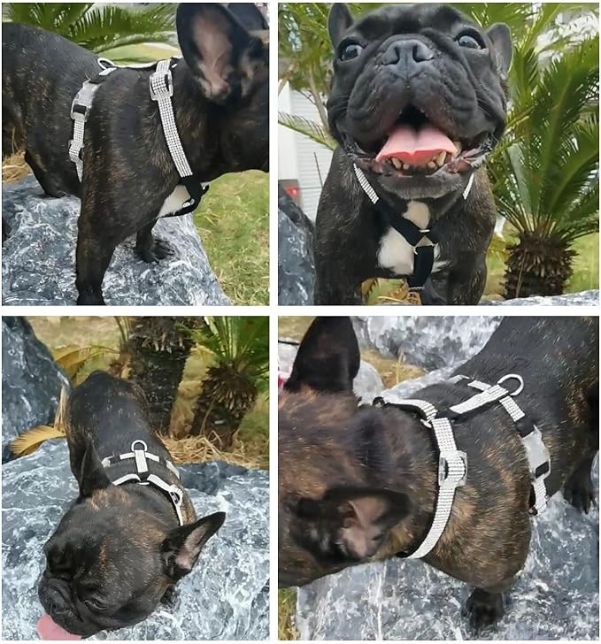 Dog Reflective Rhinestone Harness, No Pull Adjustable D-Ring Harness Walking Harness for Small Meduim Large Dog(Black,M)