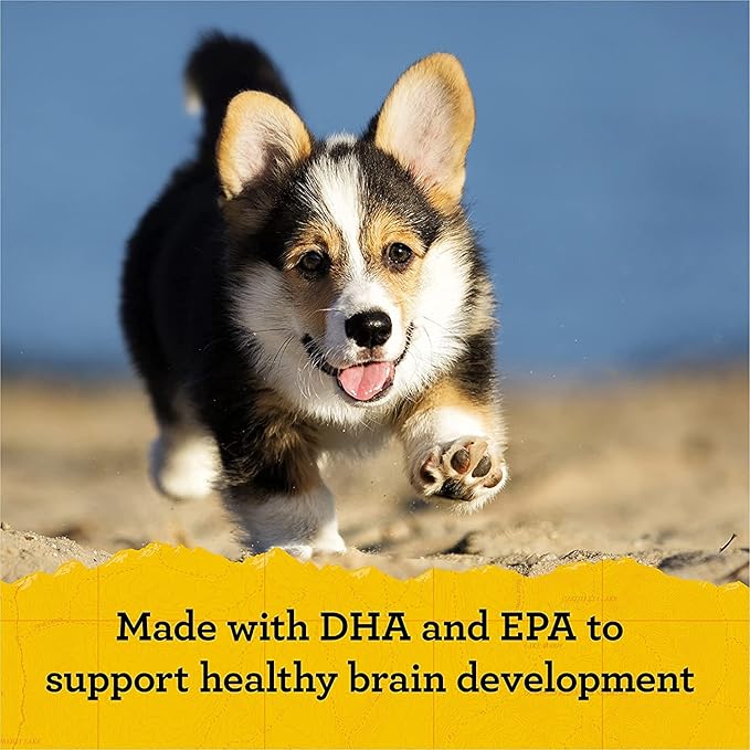 (4 Pack) Zuke Puppy Naturals Training Dog Treats Crafted in The USA, Salmon and Lamb 5oz with 10ct Pet Wipes 5 Piece Set