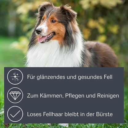 alcott Bamboo Groom Palm Brush with Boar Bristles for Pets