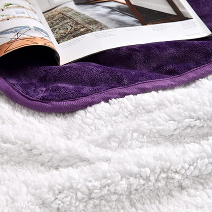 Waterproof Blanket for Bed Couch Sofa, Soft Liquid Pee Proof Pet Blanket for Dog Puppy Cat, Reversible Sherpa Fleece Blanket for Furniture Protector (Dark Purple, 60x80 inches)