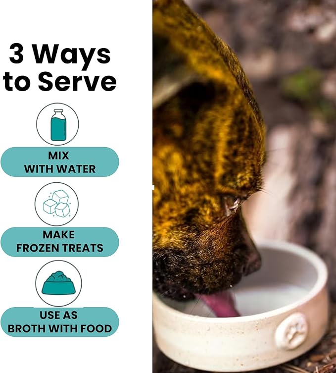 Dog Gut Health Supplement with Salmon Oil, Prebiotics & Probiotics | Digestion Support Powder for Dogs | Sensitive Stomach, Loose Stool & Gas Relief | Natural Hydration Drink Mix