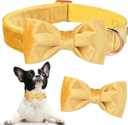 ARING PET Bowtie Dog Collar-Velvet Dog Collars with Detachable Bowtie, Adorable&Soft Yellow Dog Collar.