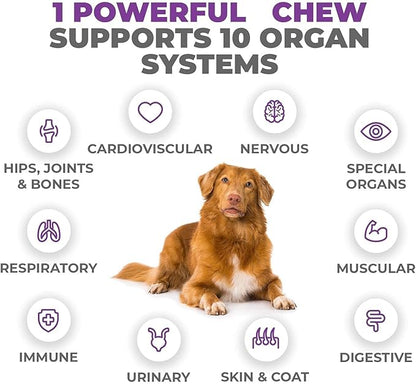 Mighty Petz MAX Dog Multivitamin - Senior & Adult Dog Vitamins 10 in 1 Complete Support for Joints, Immunity, Mobility, Gut, Energy, Skin Health, Pet Multivitamin Daily Chewable Supplement