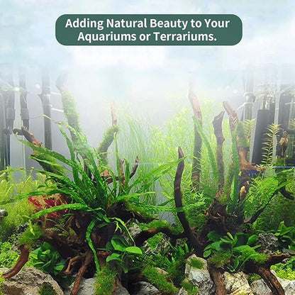 Hamiledyi 24 Pcs Small Driftwood for Aquarium 3"-5" Driftwood Branches Aquarium Decoration Reptiles Reptile Tank Accessories Assorted Size Natural Habitat Decor Wood for Lizad