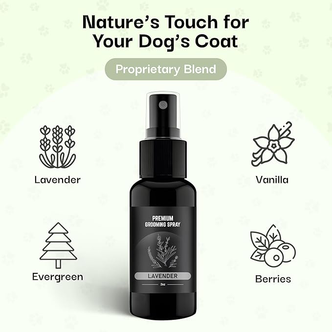 605Products Premium Dog Cologne & Odor Eliminator - Long Lasting Puppy Perfume, Deodorant & Grooming Spray with Essential Oils, 2oz Lavender (3-Pack)