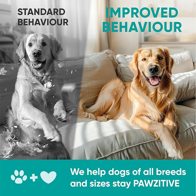 Dog Calming Chews for Anxiety Relief - Hemp Calming Chews for Dogs - 120 Soft Treats - Stress, Separation - USA Product - Melatonin, Passion Flower, Chamomile