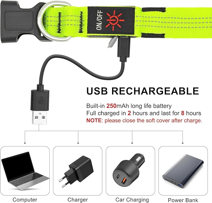 BSEEN Light Up Dog Collars - Glowing LED Dog Collar, Reflective Puppy Collar, Adjustable Lighted Dog Collar, Rechargeable Pet Collar for Night Walking (Green-II, Large)