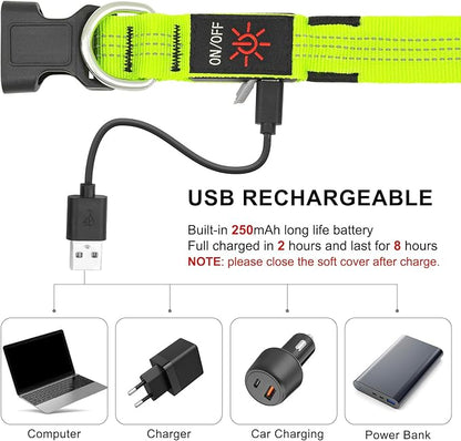 BSEEN Light Up Dog Collars - Glowing LED Dog Collar, Reflective Puppy Collar, Adjustable Lighted Dog Collar, Rechargeable Pet Collar for Night Walking (Green-II, Large)
