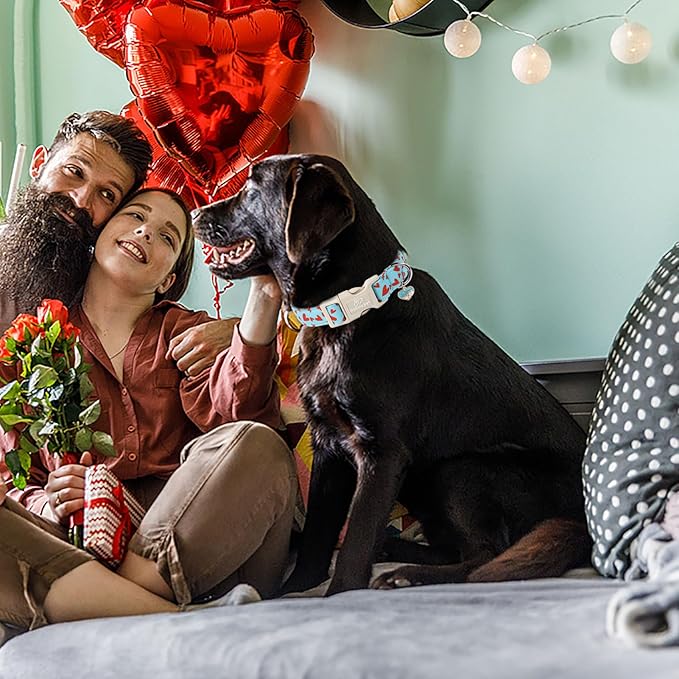 Valentine's Day Dog Collar - Cute Blue Valentines Dog Collar Girl Boy Durable Adjustable Red Heart Pattern Charm Dog Collars for Small Medium Large Dogs M