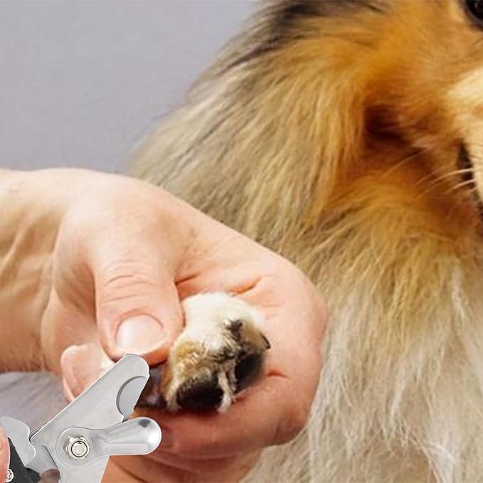 2 Pack Pet Nail Trimmer Clipper Set with 2 Nail Files, Dog Nail Clippers for Small, Large & Medium Dogs Cats Pet Toenail Clippers with Nail Files