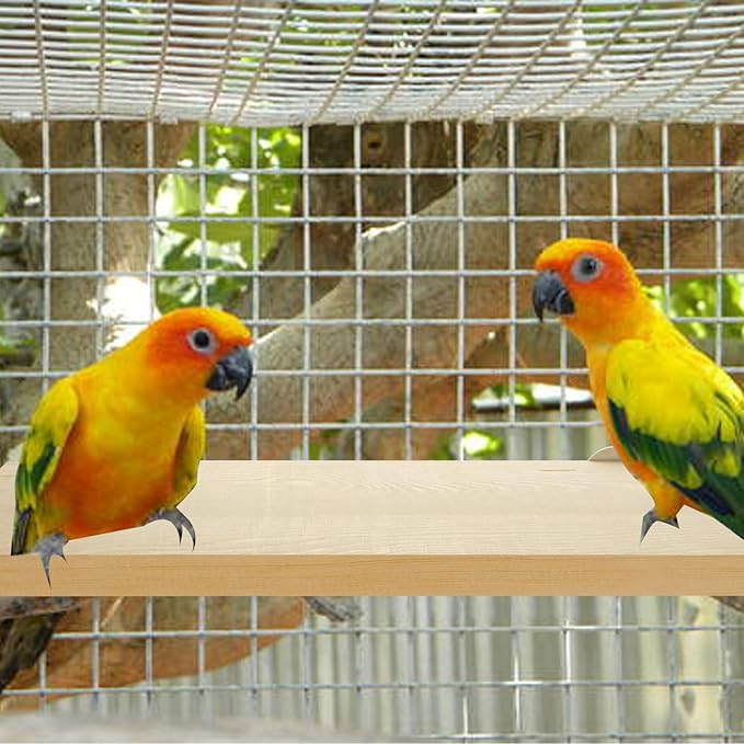 4 Pack 5 x 12 Inches Bird Perches - Natural Wooden Flat Bird Perch - Rectangle Bird Perch Stand Platform for Parrot, Budgies, Parakeet, Cockatiels, Conure, Lovebirds