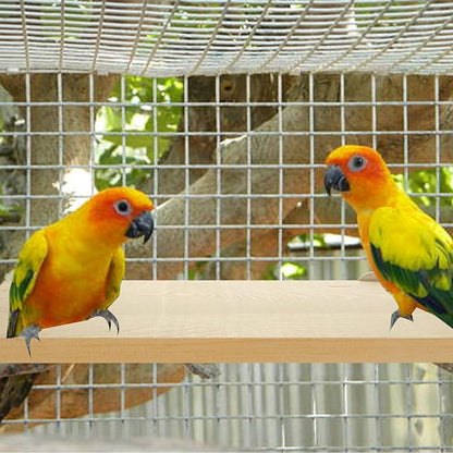 4 Pack 5 x 12 Inches Bird Perches - Natural Wooden Flat Bird Perch - Rectangle Bird Perch Stand Platform for Parrot, Budgies, Parakeet, Cockatiels, Conure, Lovebirds