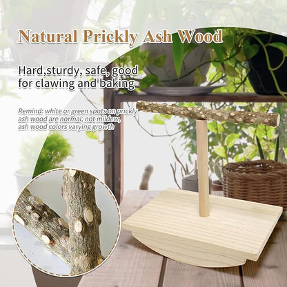 Natural Wood Bird Perch Stand,Rocking Perch for Birds,Chewing Training Parrot Tumbler Toy,Bird Stand Swing Removable Playstand Birds Cage Accessories for Parakeets,Cockatiels,Budgies,Conures(Large)