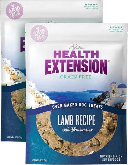 Health Extension Oven-Baked Dog Treats, 6oz (170g), Lamb & Blueberry Recipe – Gluten & Grain-Free, Superfood-Infused, Crunchy Biscuits for Puppy Training (Pack of 2)