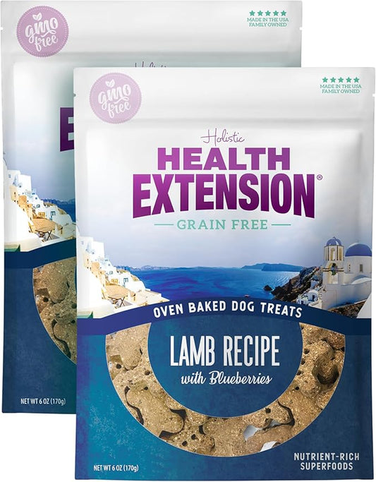 Health Extension Oven-Baked Dog Treats, 6oz (170g), Lamb & Blueberry Recipe – Gluten & Grain-Free, Superfood-Infused, Crunchy Biscuits for Puppy Training (Pack of 2)