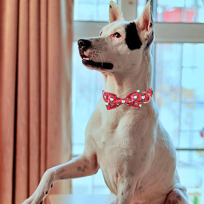 MR. CHUBBYFACE Santa Claus Dog Collar with Bowtie, Cotton Boy Girl Dog Collars with Metal Buckle Cute Christmas Collars for Puppy Small Medium Large Dogs