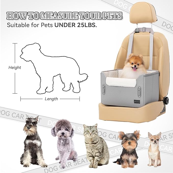 PETSFIT Dog Booster Seat, Portable Dog Car Seats for Small Dogs with Clip-On Leash, Patented Safe Buckles, Dog Booster Car Seat Suitable for Small Pets Up to 25lbs (Light Grey)