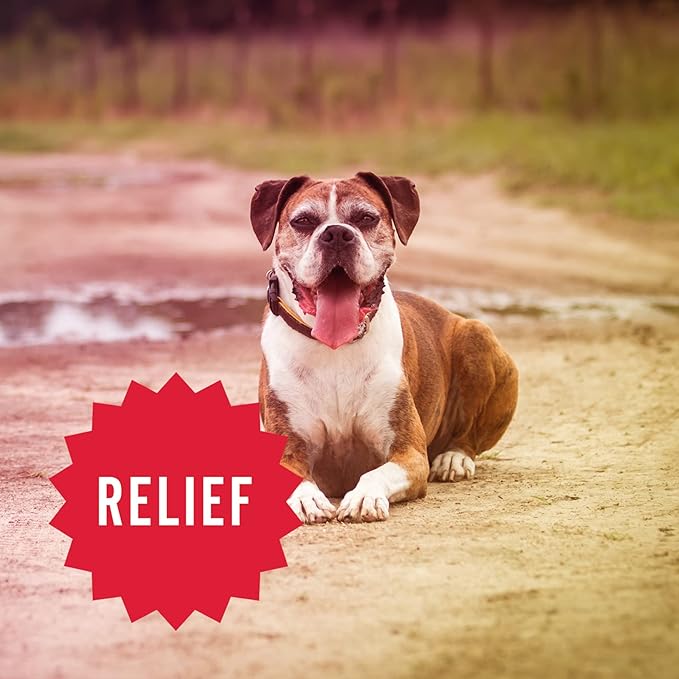 Hemp Well Relief Dog Soft Chews  Organic Hemp Soft Chews for Hip and Joint Health, Long Lasting Mobility Support (1 Pack)