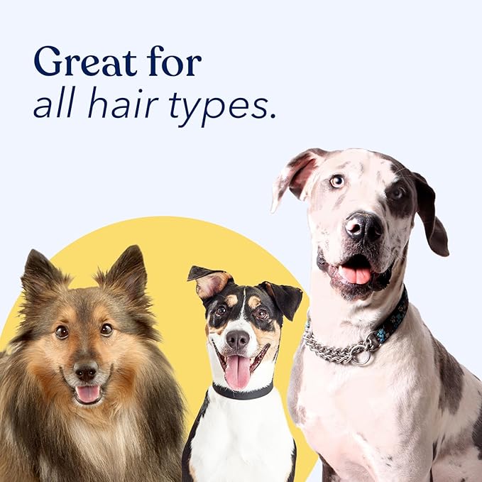 Honest Paws Dog Dry Shampoo - Waterless No Rinse Spray Formula Reducing Itch Cleanse Hydrate Nourish Dry Skin and Smelly Coat Help Decrease Odor Shedding and Allergies - Oatmeal & Lavender - 16 oz