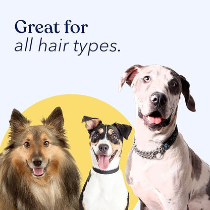 Honest Paws Dog Dry Shampoo - Waterless No Rinse Spray Formula Reducing Itch Cleanse Hydrate Nourish Dry Skin and Smelly Coat Help Decrease Odor Shedding and Allergies - Oatmeal & Lavender - 16 oz