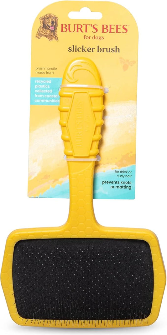 Burt_ Bees for Pets Large Slicker Brush for Dogs with Thick or Curly Hair with Handle Made from Recycled Plastics Collected from Coastal Communities | De-Shedding Dog Brush Removes Knots and Matting