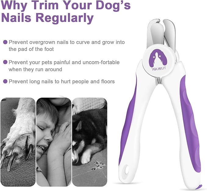 Dog Nail Clippers and Trimmers,Professional Grooming Tool with Safety Guard to Avoid Over Cutting,Free Nail File,Razor Sharp Blade,Sturdy Non Slip Handles for Large and Small Animals (Purple)