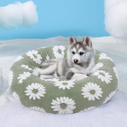 HYQ Small Dog Bed, Cat Beds for Indoor Cats, Dog Beds for Small Dogs with Anti-Slip Bottom, Cute Puppy Bed Washable-White-24inch