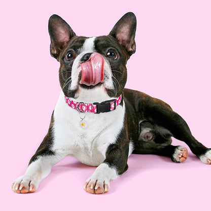 BiPawTi Dog Collars - Cute Flower Collar for Small Dog with Daisies Charms, Pretty Floral Dogs Collar for Female Dogs Puppy Girls Boys Pet (S, Pink)