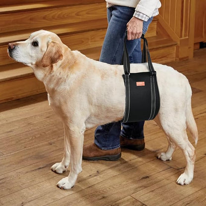 LOOBANI Portable Dog Sling for Back Legs, Hip Support Harness to Help Lift Dogs Rear for Canine Aid and Old K9 Cruciate Ligament Rehabilitation