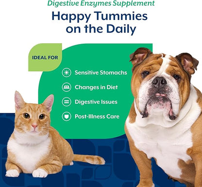 NaturVet  Digestive Enzymes for Dogs - Plus Probiotics & Prebiotics | Helps Support Diet Change & A Healthy Digestive Tract | for Dogs & Cats | 4 oz Powder