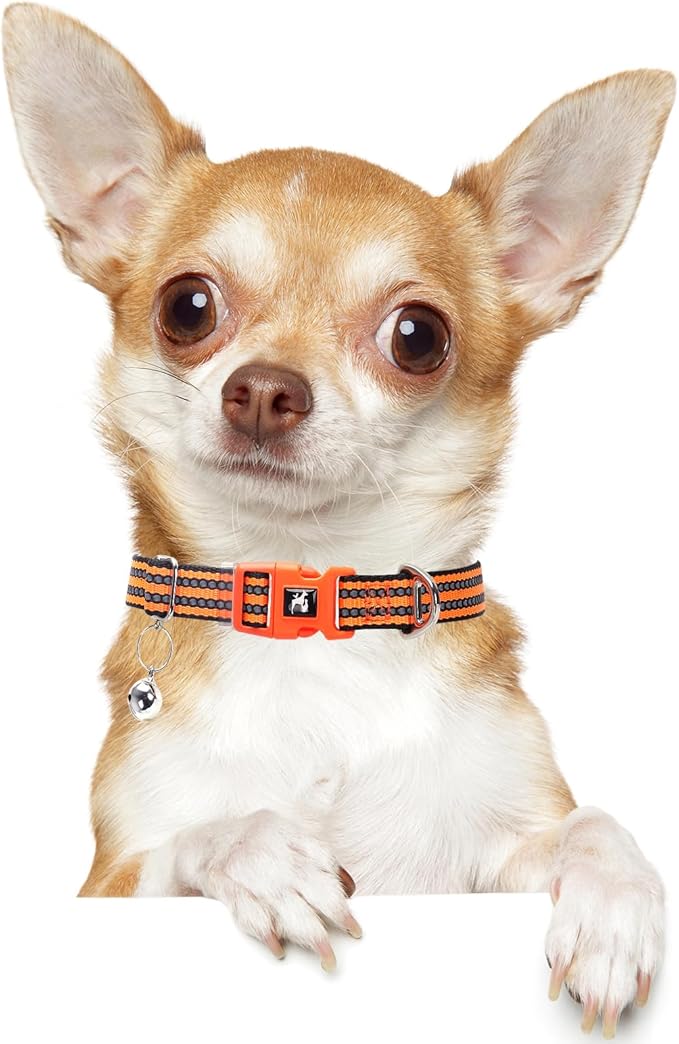 Adjustable Reflective XS/XXS Dog Collar with Bell - Nylon Puppy Collar for Chihuahua, Pomeranian, Small Dogs, Nighttime Safety, Orange XS