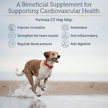 Rx Vitamins Formula CV - Hawthorn Berry Capsules with Taurine for Dogs & Cats - Heart Health Supplements Enhanced with Magnesium and Potassium - Senior Dog Vitamins and Senior Cat Vitamins - 90ct