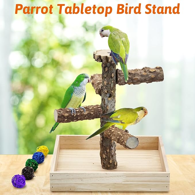BNOSDM Portable Bird Perch Stand with Potty Tray, Natural Wood Tabletop Training Gym Parrot Playground Toy for Budgies, Cockatiels, Lovebirds,Conures Canaries