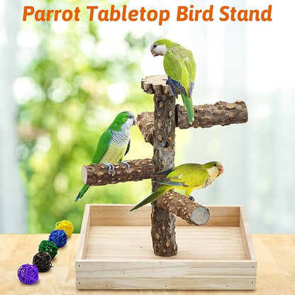 BNOSDM Portable Bird Perch Stand with Potty Tray, Natural Wood Tabletop Training Gym Parrot Playground Toy for Budgies, Cockatiels, Lovebirds,Conures Canaries