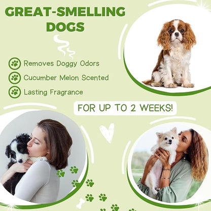 Alpha Dog Series All Stages Natural Dog Shampoo and Conditioner Set with Aloe Vera pH Balanced Dog Grooming Shampoo and Conditioner for Dogs, Tear-Free Moisturizing Dog Shampoo, 26.4 Oz (Pack of 6)