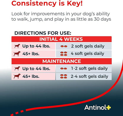 Antinol Plus, Mobility, Hip, and Joint Supplement for Dogs, Green-Lipped Mussels and Krill Oil - Dog Joint Supplement, Better and Faster Than Glucosamine and Chondroitin, 60 Soft Gels