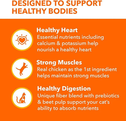 IAMS Proactive Health Adult Healthy Dry Cat Food with Chicken, 3.5 lb. Bag