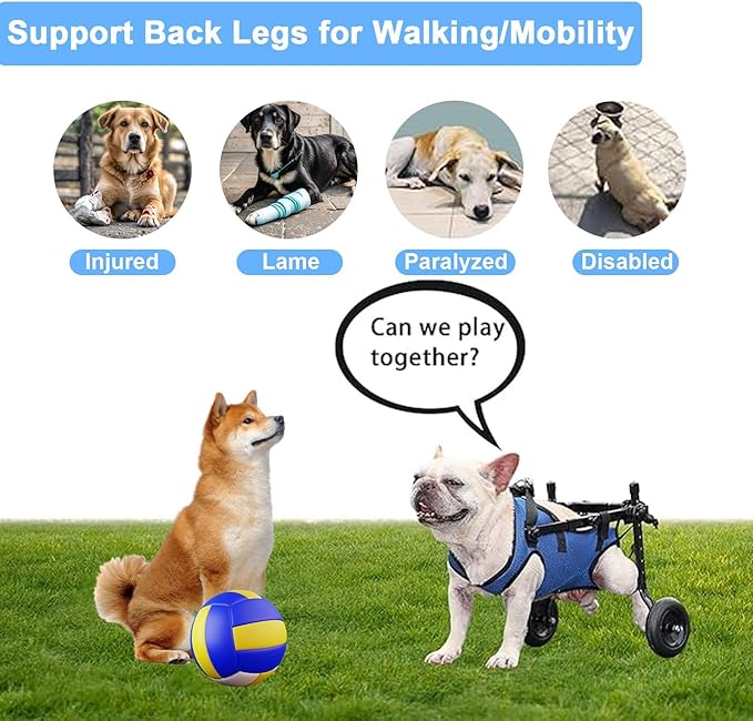 Dog Wheelchair for Back Legs, Dog Wheelchair Cart, Doggy/cat Wheelchair with Disabled Hind Legs Walking, Mobility Aids for Small Pets Hind Limbs, Dog Carts with Wheels, Light Weight